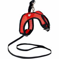 Шлейка+поводок АЭРО №6 обхват груди 27-32см красная/035806/Дарэлл Шлейка+поводок АЭРО №6 обхват груди 27-32см красная/035806/Дарэлл