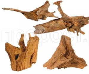 Коряга натуральная Mangro L/200297 Коряга натуральная Mangro L/200297