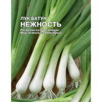 Лук батун Нежность 5г XXXL Лук батун Нежность 5г XXXL