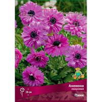 Анемона махровая Пинк (5/6) 10 шт  Анемона махровая Пинк (5/6) 10 шт