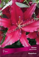 Лилия Восточная Файрболт (14/16) 2 шт 