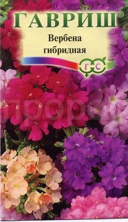Вербена Романс гибридная смесь 0,05г  Вербена Романс гибридная смесь 0,05г