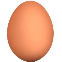 Инструмент Яйцо куриное резиновое муляж 