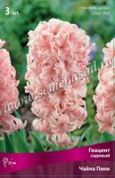 Гиацинт Садовый Чайна Пинк (14/15) 3шт.