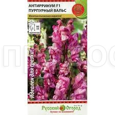Антирринум Пурпурный вальс F1 10шт Антирринум Пурпурный вальс F1 10шт