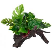 Коряга лесная LUCKY REPTILE Forest Wood Premium 37х25.5х27см (Германия) FWP-2 Коряга лесная LUCKY REPTILE Forest Wood Premium 37х25.5х27см (Германия) FWP-2