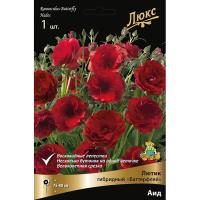 Лютик гибридный Батерфляй Аид /К 839677 Лютик гибридный Батерфляй Аид /К 839677