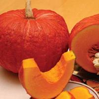 Тыква крупноплодная Конфетка 10г  Тыква крупноплодная Конфетка 10г