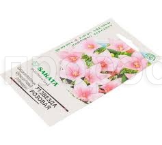 Платикодон (Ширококолокольчик крупноцветковый) Звезда розовая F1, крупноцветковый 4 шт Платикодон (Ширококолокольчик крупноцветковый) Звезда розовая F1, крупноцветковый 4 шт