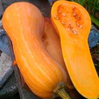 Тыква мускатная Арабатская 10шт Тыква мускатная Арабатская 10шт