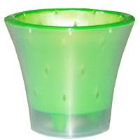 Кашпо для орхидей Ванда 1,2л прозрачный с зеленой вставкой ВД15-03 Кашпо для орхидей Ванда 1,2л прозрачный с зеленой вставкой ВД15-03
