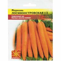Морковь Лосиноостровская 13 2г Морковь Лосиноостровская 13 2г
