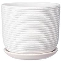 Лоза белый бук №3 2,8л