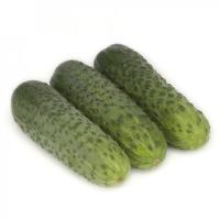 Огурец Караоке F1 100шт Огурец Караоке F1 100шт