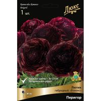 Лютик гибридный Романс Перигор /К 839689 Лютик гибридный Романс Перигор /К 839689