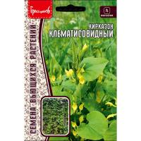 Редкие растения Кирказон Клематисовидный 3шт 