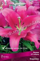 Лилия ОТ-Гибрид Боррелло (14/16) 2 шт