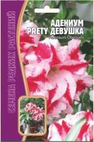 Адениум Прелестная Девушка 3 шт Адениум Прелестная Девушка 3 шт