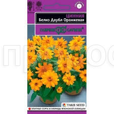Гавриш Эксклюзив Цинния Белиз даубл оранжевая 5шт  Гавриш Эксклюзив Цинния Белиз даубл оранжевая 5шт
