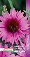 Эхинацея Пурпурная Ливадия 20шт Эхинацея Пурпурная Ливадия 20шт