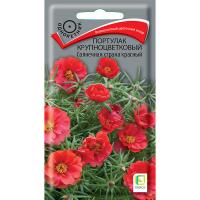 Поиск Портулак Солнечная страна красный 0,1г Поиск Портулак Солнечная страна красный 0,1г