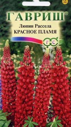 Люпин Рассела Красное пламя  0,5г  Люпин Рассела Красное пламя  0,5г