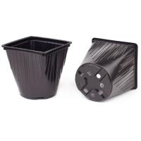 Рассадник 0,75л (квадратно-круглый) черный 12*12*9см /лист 0,8/600шт/А Рассадник 0,75л (квадратно-круглый) черный 12*12*9см /лист 0,8/600шт/А