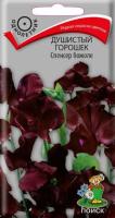 Душистый горошек Спенсер божоле 1г Душистый горошек Спенсер божоле 1г