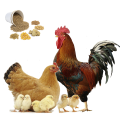 Премиксы и корма для с/х птицы Премиксы и корма для с/х птицы
