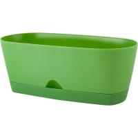 Кактусница 25см Амстердам 1,7л оливковый с под. IG6203 /6шт/ПР Кактусница 25см Амстердам 1,7л оливковый с под. IG6203 /6шт/ПР