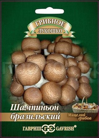 Мицелий гриба Шампиньон Бразильский на зерновом субстрате 15мл Мицелий гриба Шампиньон Бразильский на зерновом субстрате 15мл