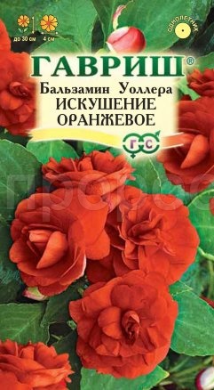 Бальзамин Искушение оранжевое Уоллера F1 4шт  Бальзамин Искушение оранжевое Уоллера F1 4шт