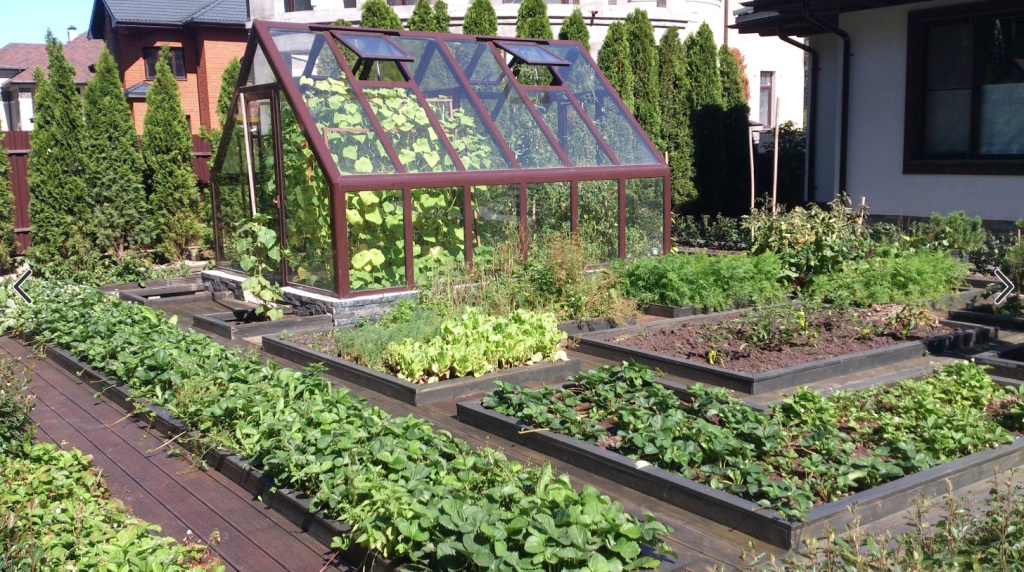 Огород весной.  Что делаем в первую очередь? Огород весной.  Что делаем в первую очередь?