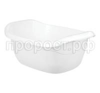 2546 бел 2546 бел