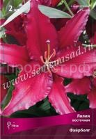Лилия Восточная Файрболт (14-16) 2 шт 675474