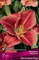 Лилейник гибридный Литтл Анна Роза Лилейник гибридный Литтл Анна Роза