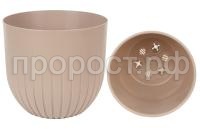 альфа фрапе2