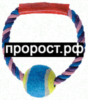 00-00095954 00-00095954