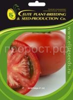 tomat_hortica_f1_es_kupit_elitnye_semena_onlain_dostavka_po_rf_gavrish_shop tomat_hortica_f1_es_kupit_elitnye_semena_onlain_dostavka_po_rf_gavrish_shop