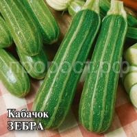 Кабачок Зебра 25 г Кабачок Зебра 25 г