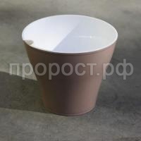 Афина-мокко-600x600 Афина-мокко-600x600