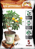 цитр 5 цитр 5