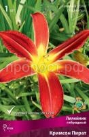 Лилейник гибридный Кримсон Пират Лилейник гибридный Кримсон Пират