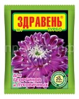 георгины георгины