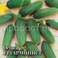 Огурец Гармонист F1 250шт