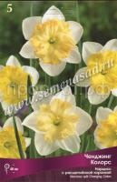 Нарцисс с Расщеплённой коронкой Ченджинг Колорс (5шт, 12-14) 380904 Нарцисс с Расщеплённой коронкой Ченджинг Колорс (5шт, 12-14) 380904