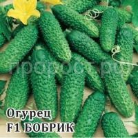 Огурец Бобрик F1 100шт Огурец Бобрик F1 100шт