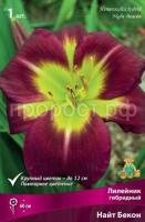 Лилейник гибридный Найт Бекон Лилейник гибридный Найт Бекон