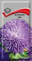 Астра игл Софи