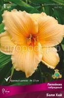 Лилейник гибридный Бали Хай Лилейник гибридный Бали Хай